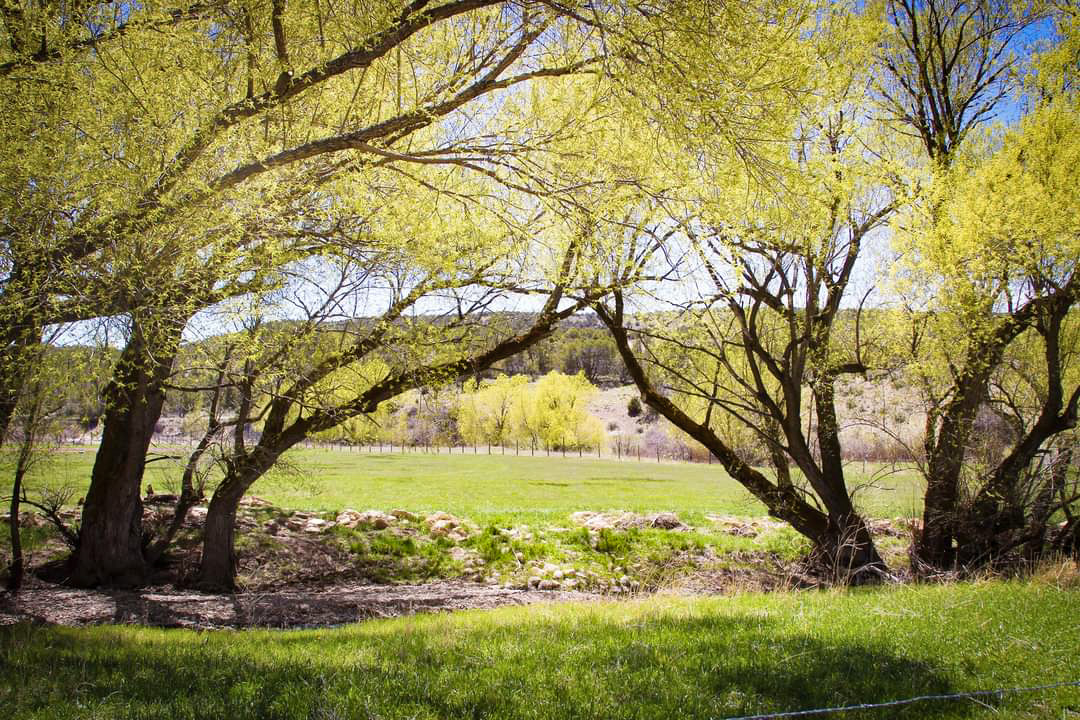 Hooley Custom Homes Story